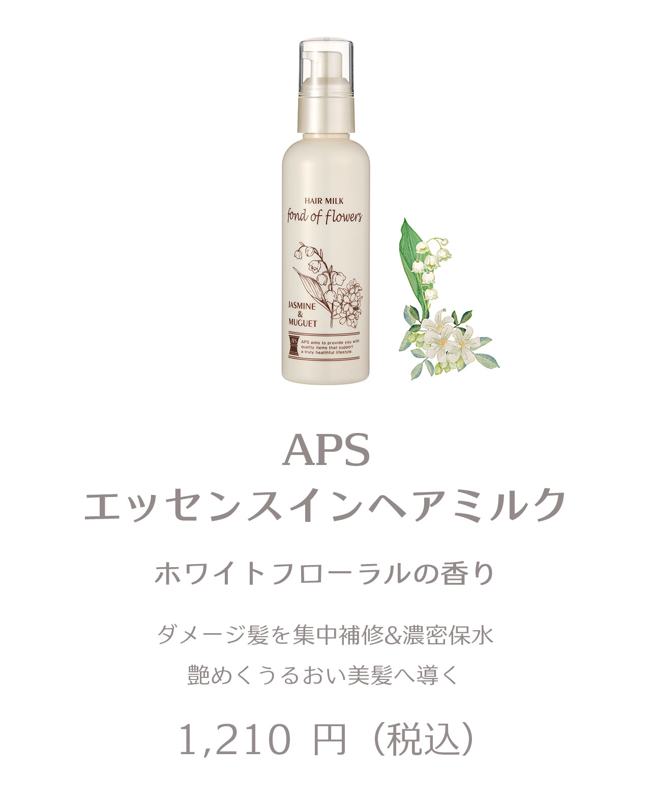 APS 2025 夏冬新商品特集