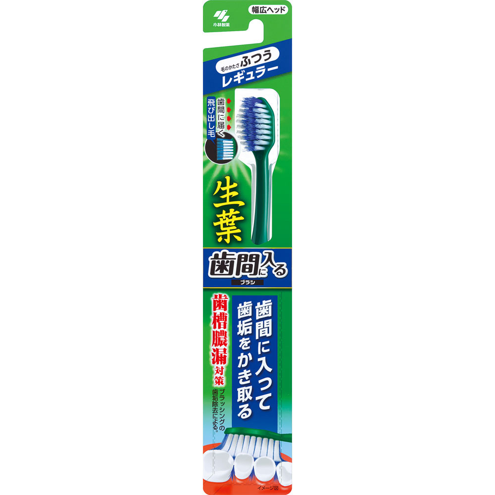 生葉歯間に入るブラシ レギュラー ふつう 1本