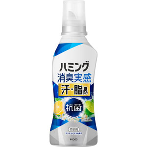 ハミング消臭実感 汗・脂臭タイプ クリアシトラス 本体  500mL