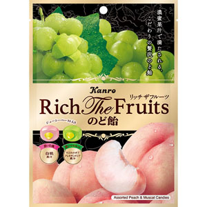 リッチザフルーツのど飴  58g