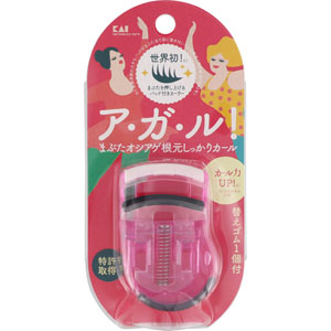 プッシュアップカーラー  1個