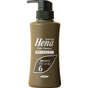 テンスター カラーシャンプー 300mL ダークブラウン 6