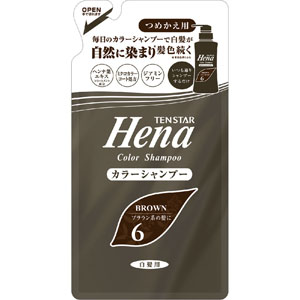 テンスター カラーシャンプー つめかえ用  260mL