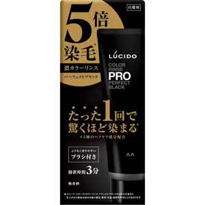 COLOR | TAMARIS タマリス CREATING HAIR BEAUTY SINCE 1949