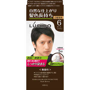 ルシード ワンプッシュケアカラー  1個 【医薬部外品】