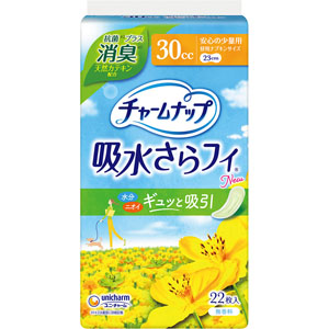 チャームナップ安心の少量用消臭タイプ  22枚