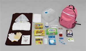 緊急時用品 標識 避難誘導 蓄光式 消防認定品 モノタロウ 非常口標識/避難