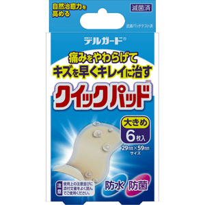 デルガード クイックパッド 大きめサイズ  6枚 【管理医療機器】