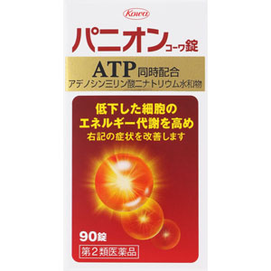 パニオンコーワ錠 90錠 【第二類医薬品】