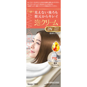 ビゲン 泡クリームカラー  1個　ブライトブラウン 2N 【医薬部外品】