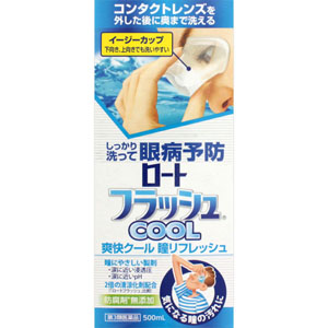 ロートフラッシュ クール  500mL 【第三類医薬品】